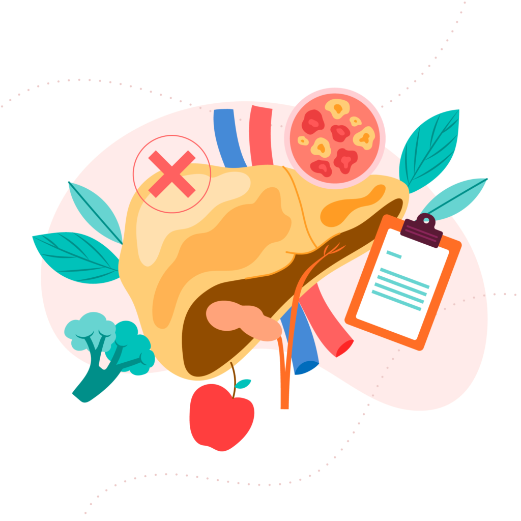 prendre soin de son foie naturellement illustration