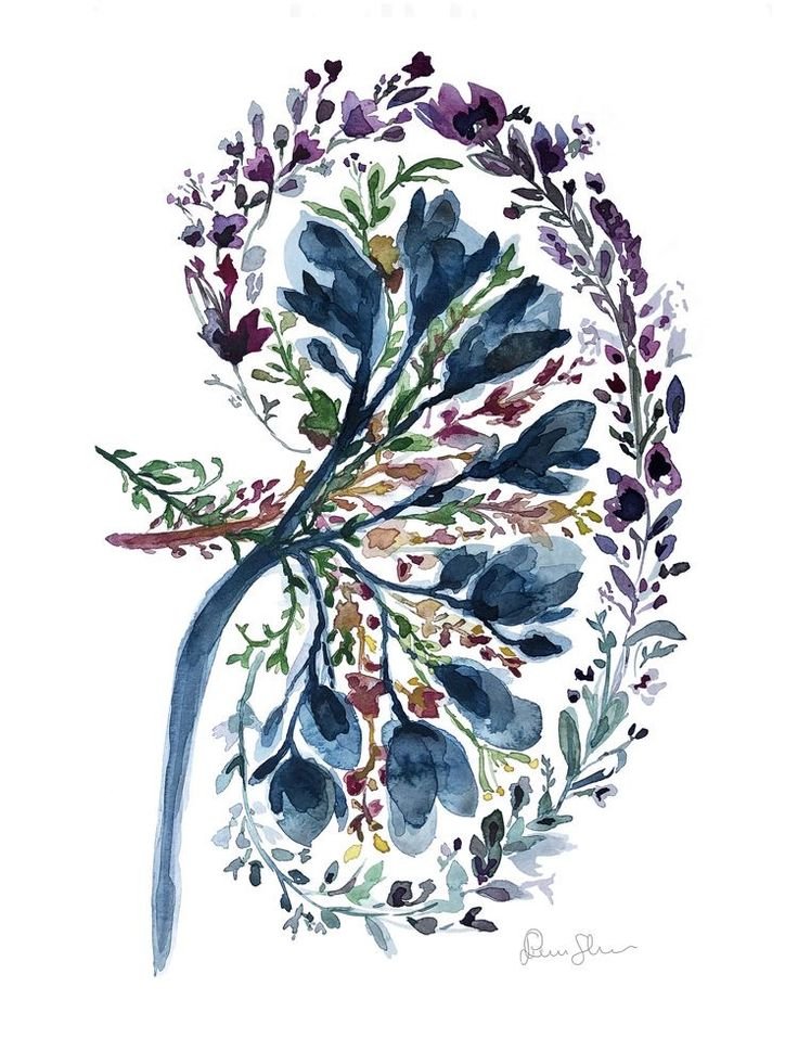 reins naturopathie énergie vitale bien-être holistique